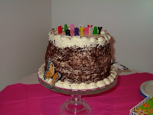 Butterfly Birthday Cake 2.JPG