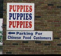 chinesepuppies.jpg