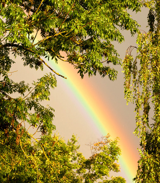 Regenbogen_kl.jpg