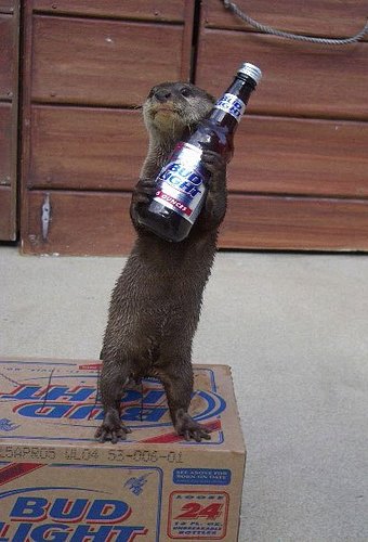 bud_light_squirrel.jpg