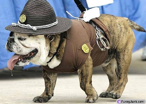 bulldogcop.jpg