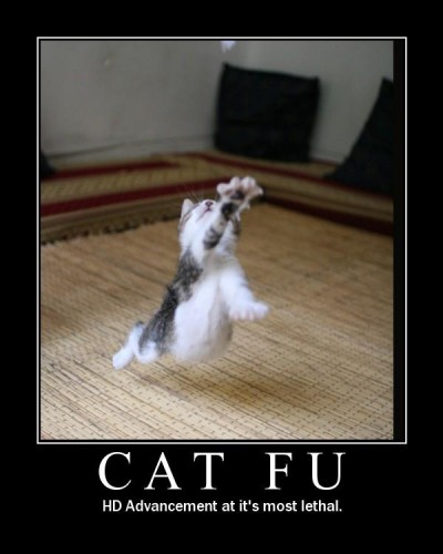 cat-fu-has-come.jpg