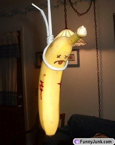 dead_banana.jpg