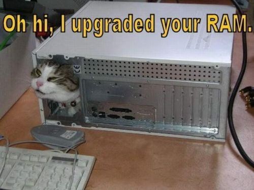 ram_upgrade.jpg