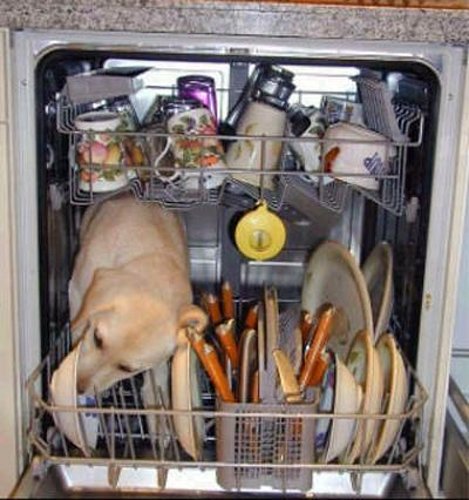 redneck_dishwasher.jpg