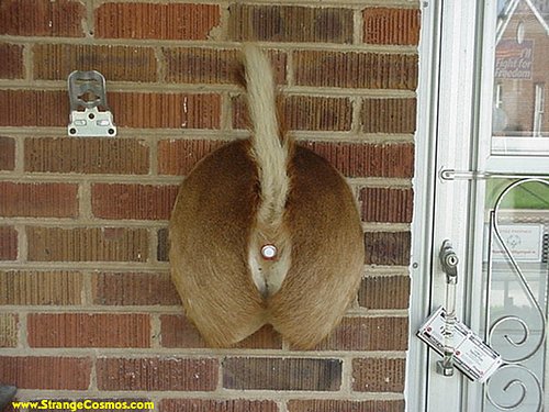 redneck-doorbell.jpg