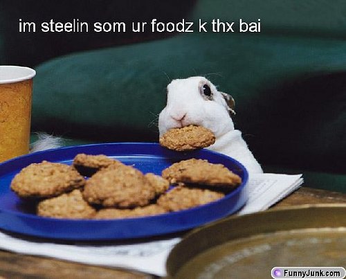 stealinurfoods.jpg