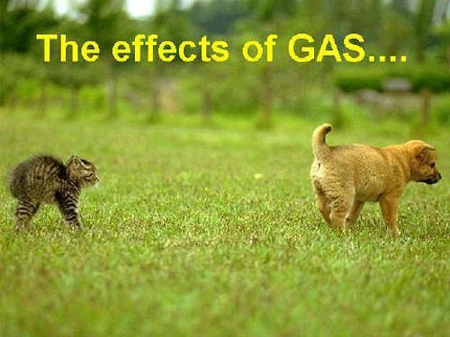 the_effects_of_gas.jpg