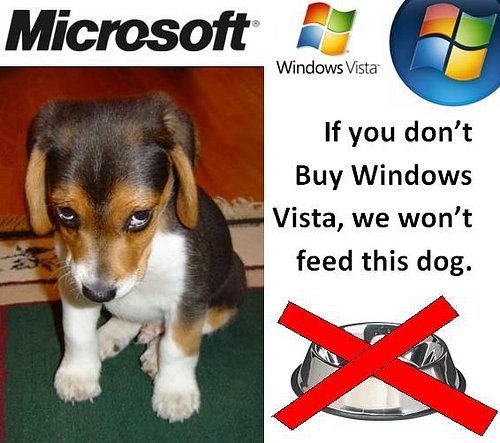 vista_add.jpg